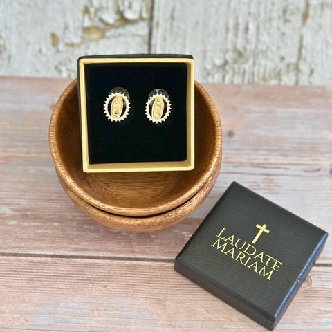Our Lady of Guadalupe Devotional Earrings with Sparkling Crystal Border