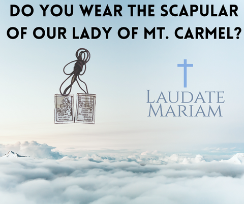 Results of Our Recent Survey on the Scapular