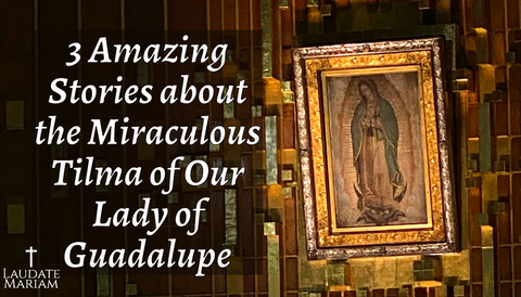 3 Amazing Stories about the Miraculous Tilma of Our Lady of Guadalupe