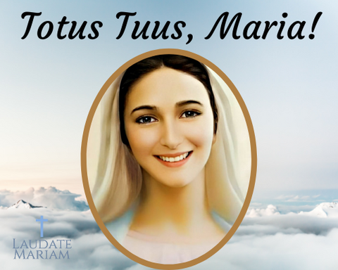 Totus Tuus, Maria: Why We Should We Consecrate Ourselves to Our Lady